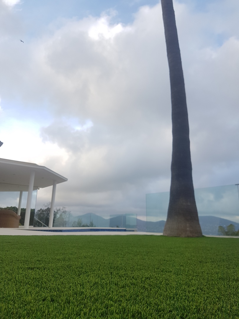 Photo Gazon Carlo 35 mm Partie 1